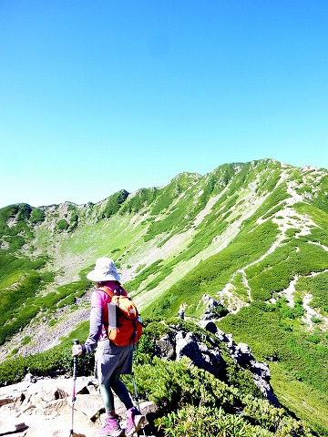 夏だから仙丈ヶ岳