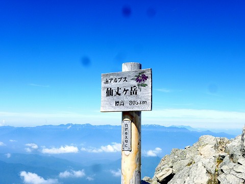 夏だから仙丈ヶ岳