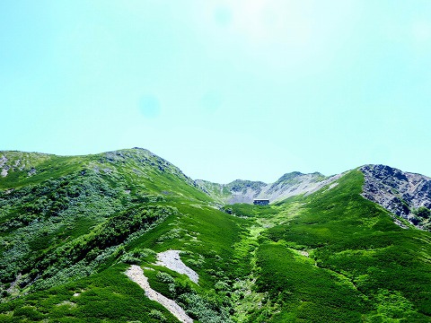 夏だから仙丈ヶ岳