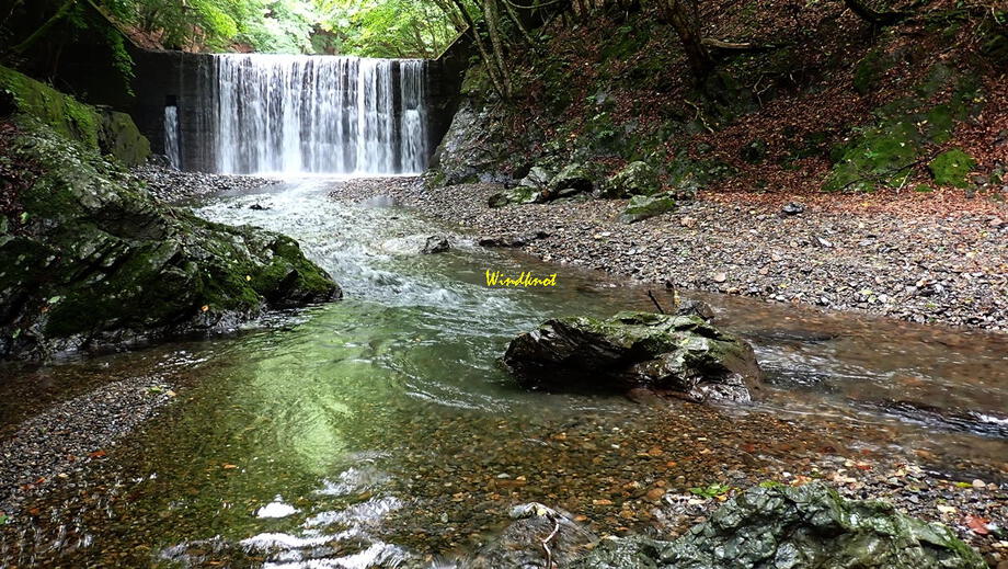 神流川のイワナ 神流川のイワナ