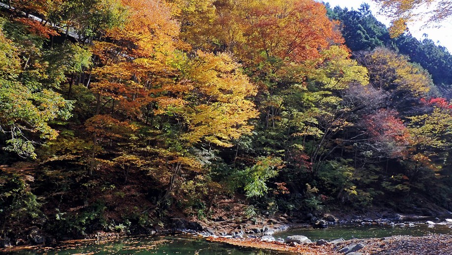 上野村で紅葉見物