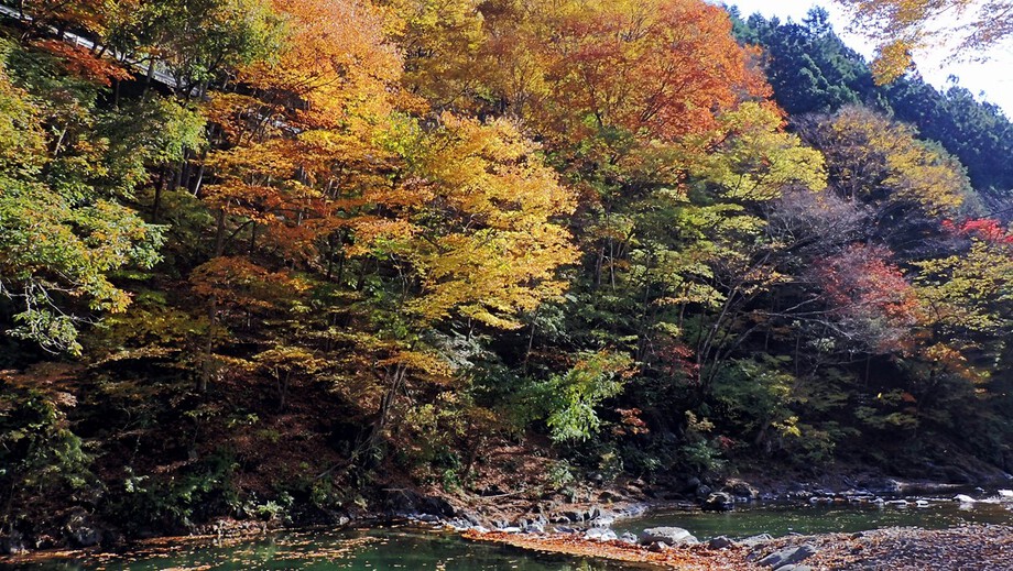 上野村で紅葉見物 上野村で紅葉見物