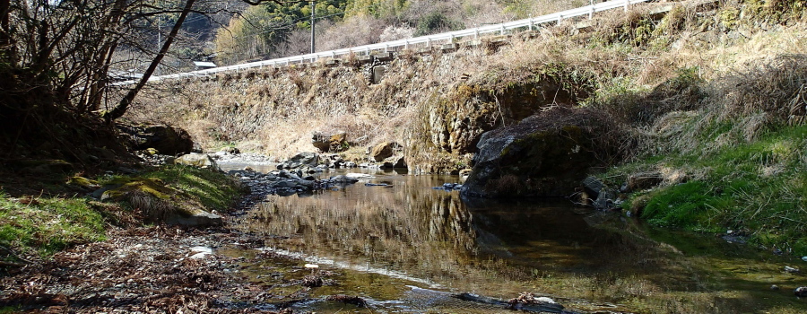 里川で撃沈 里川で撃沈