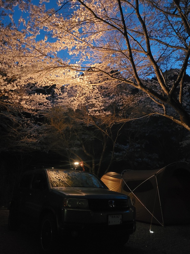 桜のキレイなキャンプ場【小太郎岩キャンプ場】