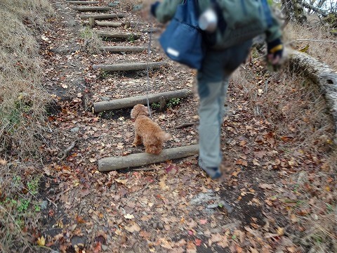 鍋割山と檜洞丸の間に。