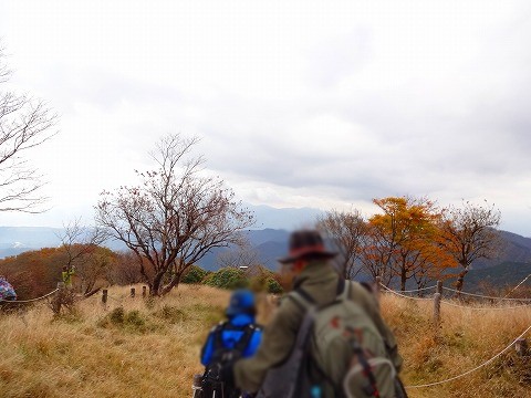 鍋割山と檜洞丸の間に。