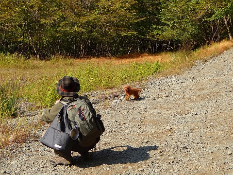 鍋割山と檜洞丸の間に。