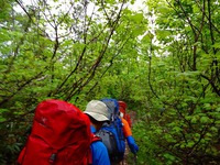 白馬鑓温泉で念願の御来光♪