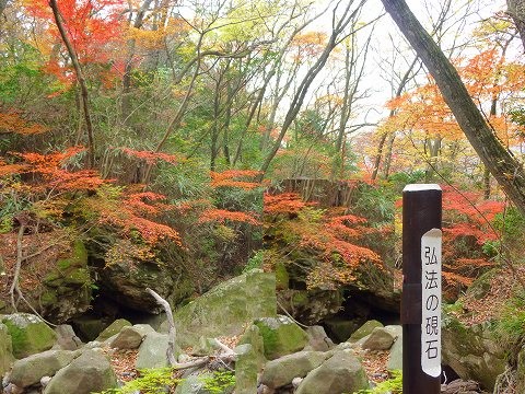 箱根で紅葉狩り