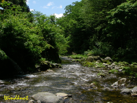 さわやか養沢