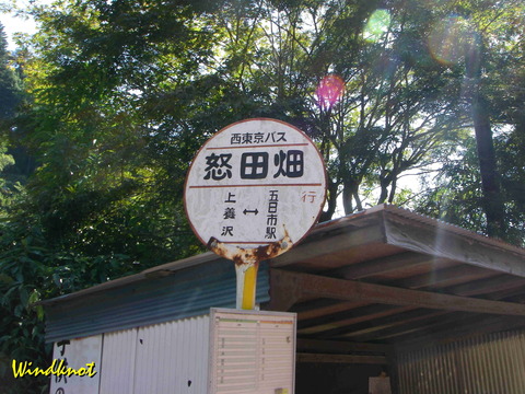 養沢で本入魂