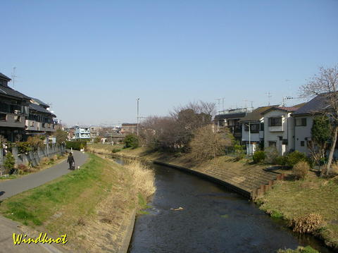 少し春らしく
