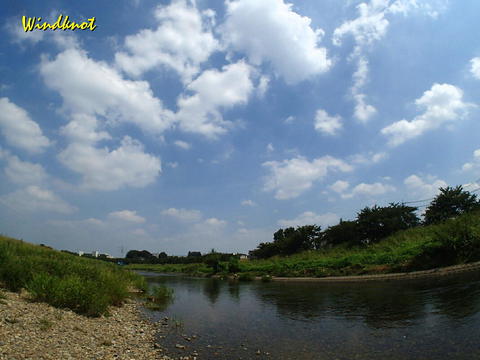 8月の釣り