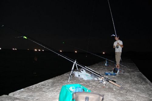 コロダイの投げ釣り