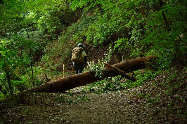 * 夏山トレーニング登山と冬山偵察登山 * * 夏山トレーニング登山と冬山偵察登山 *