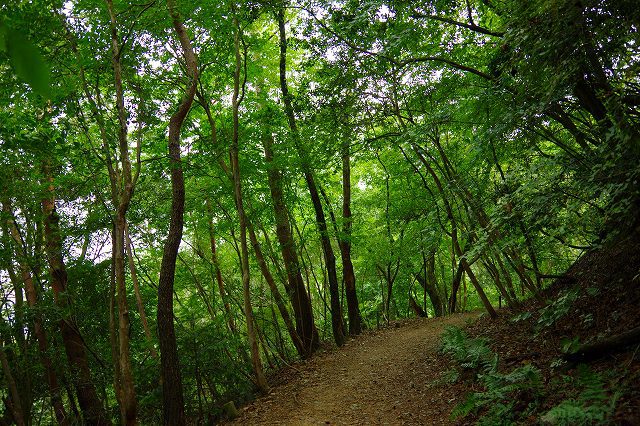 * 夏山トレーニング登山と冬山偵察登山 * * 夏山トレーニング登山と冬山偵察登山 *