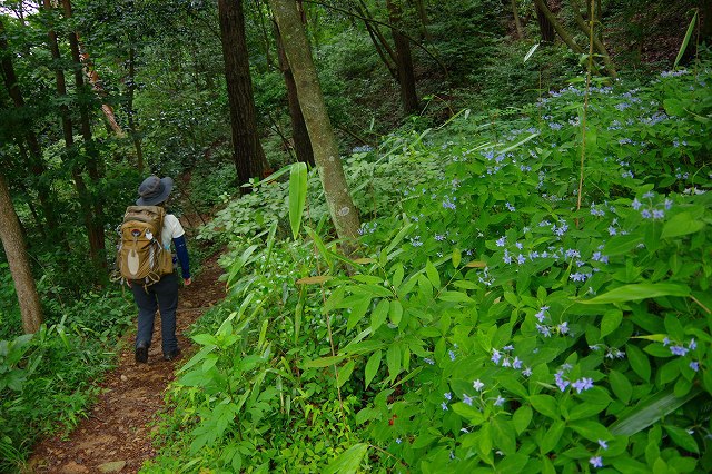 * 夏山トレーニング登山と冬山偵察登山 * * 夏山トレーニング登山と冬山偵察登山 *