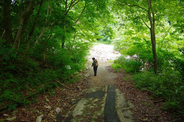 * 夏山トレーニング登山と冬山偵察登山 * * 夏山トレーニング登山と冬山偵察登山 *