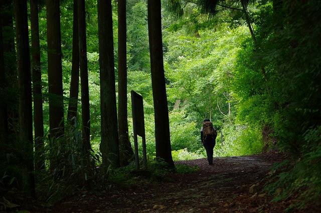 * 夏山トレーニング登山と冬山偵察登山 * * 夏山トレーニング登山と冬山偵察登山 *