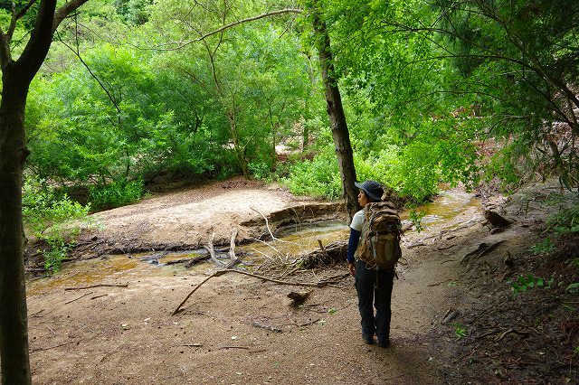 * 夏山トレーニング登山と冬山偵察登山 * * 夏山トレーニング登山と冬山偵察登山 *