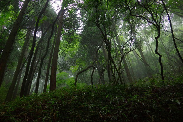 * 夏山トレーニング登山と冬山偵察登山 * * 夏山トレーニング登山と冬山偵察登山 *