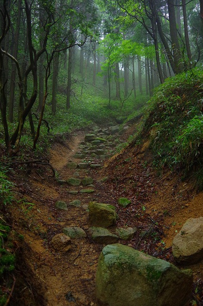 * 夏山トレーニング登山と冬山偵察登山 * * 夏山トレーニング登山と冬山偵察登山 *