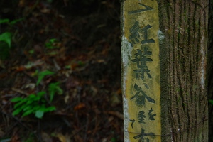 * 夏山トレーニング登山と冬山偵察登山 * * 夏山トレーニング登山と冬山偵察登山 *