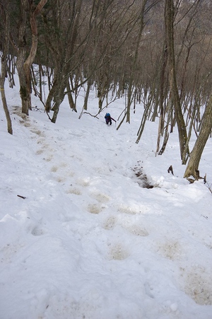* 念願の冬の武奈ヶ岳登山 * 雪山登山 * 念願の冬の武奈ヶ岳登山 * 雪山登山