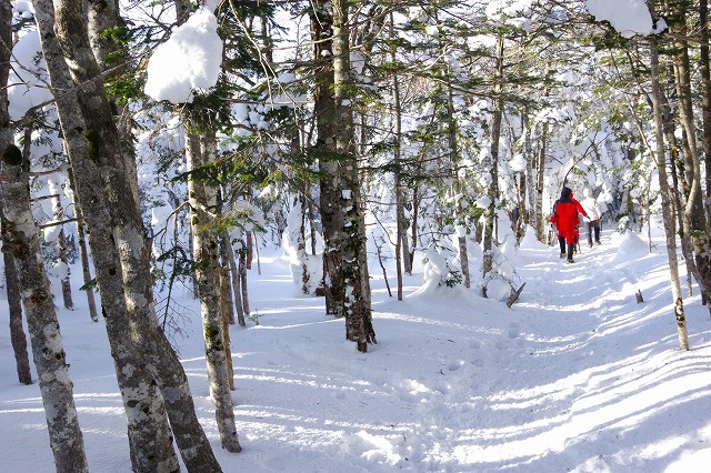 *冬の八ケ岳登山 天狗岳 * 黒百合-中山峠-天狗岳 *冬の八ケ岳登山 天狗岳 * 黒百合-中山峠-天狗岳