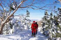 *冬の八ケ岳登山 天狗岳 * 黒百合-中山峠-天狗岳