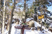 *冬の八ケ岳登山 天狗岳 * 黒百合-中山峠-天狗岳