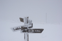 ＊期待に応えて・・ホワイトアウトな美ヶ原登山　＊　