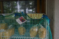 * 夏山トレーニング登山と冬山偵察登山 *