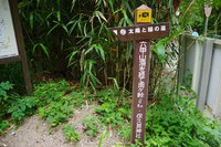 * 夏山トレーニング登山と冬山偵察登山 *