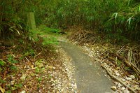 * 夏山トレーニング登山と冬山偵察登山 *
