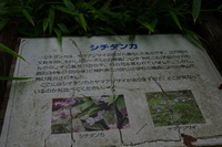 * 夏山トレーニング登山と冬山偵察登山 *