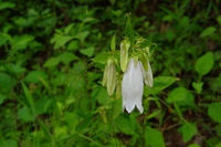 * 夏山トレーニング登山と冬山偵察登山 *