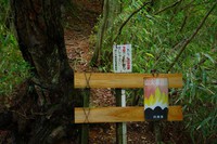 * 夏山トレーニング登山と冬山偵察登山 *