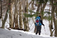 * 念願の冬の武奈ヶ岳登山 * 雪山登山