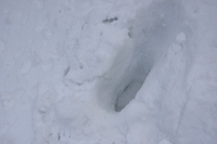 * 念願の冬の武奈ヶ岳登山 * 雪山登山