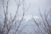 * 念願の冬の武奈ヶ岳登山 * 雪山登山