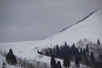 * 念願の冬の武奈ヶ岳登山 * 雪山登山