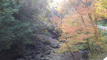 光滝寺キャンプ場　(見学)