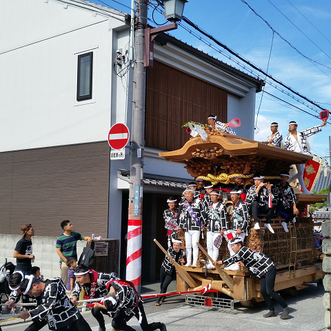 岸和田だんじり祭り 《試験曳き》 岸和田だんじり祭り 《試験曳き》
