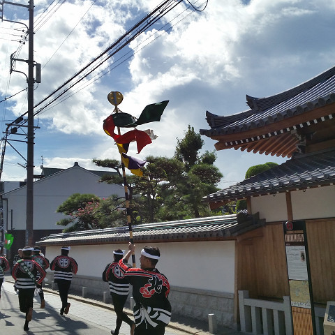 岸和田だんじり祭り 《試験曳き》 岸和田だんじり祭り 《試験曳き》