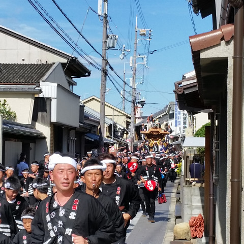 岸和田だんじり祭り 《試験曳き》 岸和田だんじり祭り 《試験曳き》