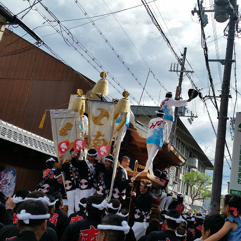 岸和田だんじり祭り 《試験曳き》 岸和田だんじり祭り 《試験曳き》