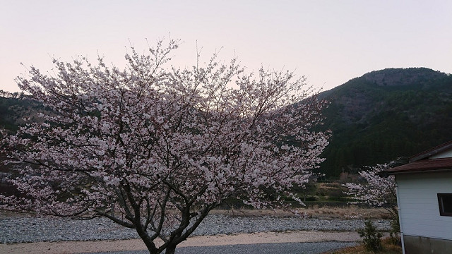 CAC メンテ&CAMP (祝10万アクセス記念) CAC メンテ&CAMP (祝10万アクセス記念)