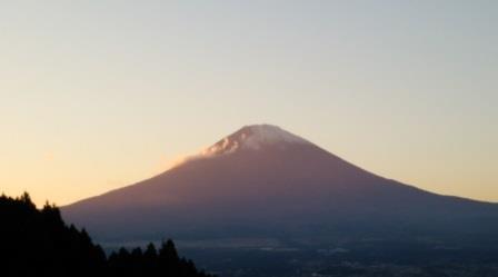 帰ってきました 帰ってきました