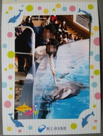 水族館に行ってきた! 水族館に行ってきた!